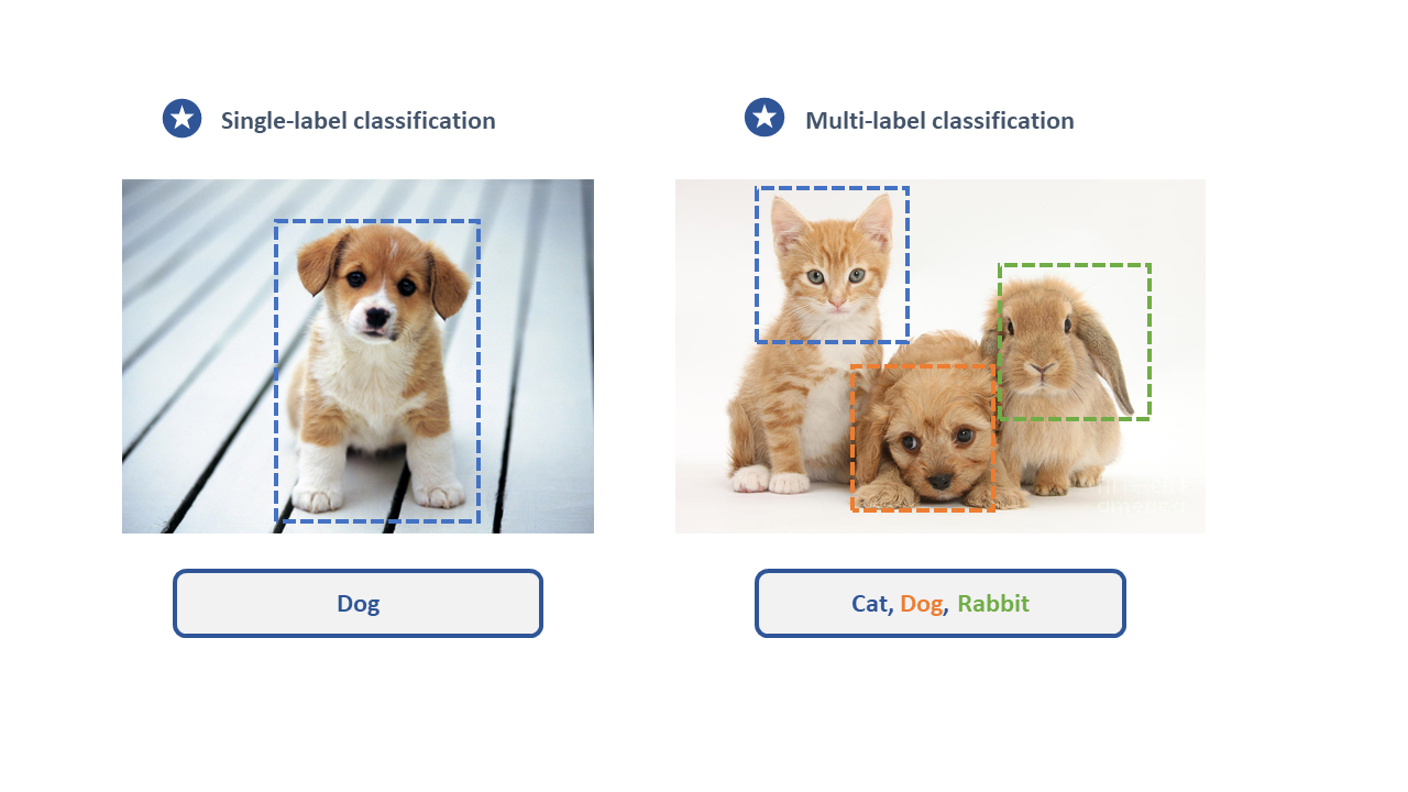 Image Classification System